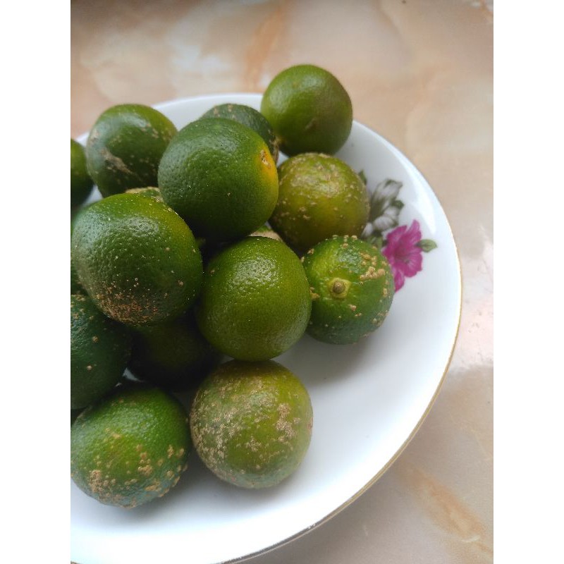 

jeruk kunci bangka