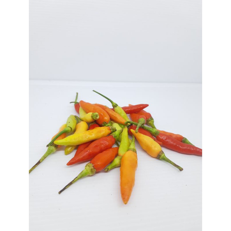 

Cabai rawit 250gram