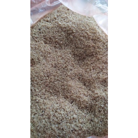 

TELUR JANGKRIK KALUNG 1KG + pengaman paCking