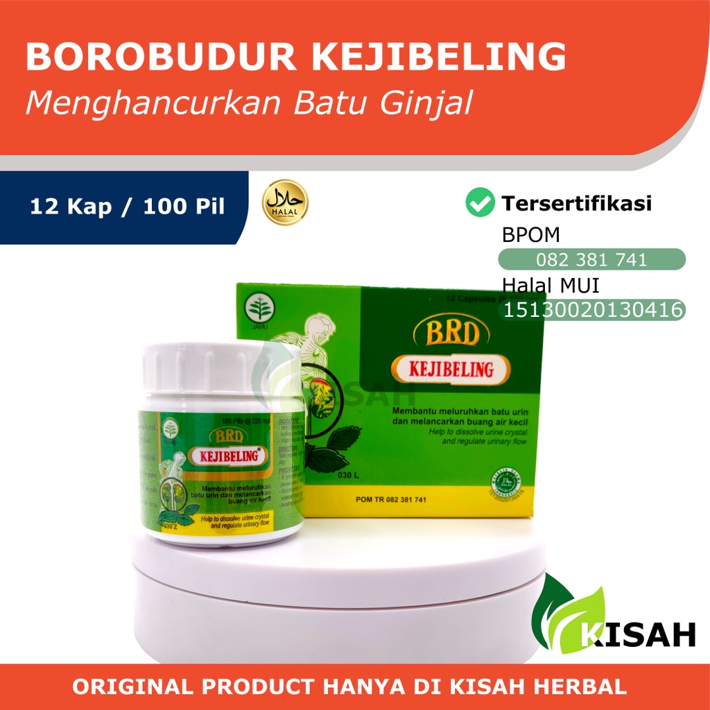 BOROBUDUR (BRD) Kejibeling Kapsul dan Pil - Obat Penghancur Batu Ginjal (Batu Oksalat) pada Saluran Kemih dan Melancarkan Buang Air Kecil.