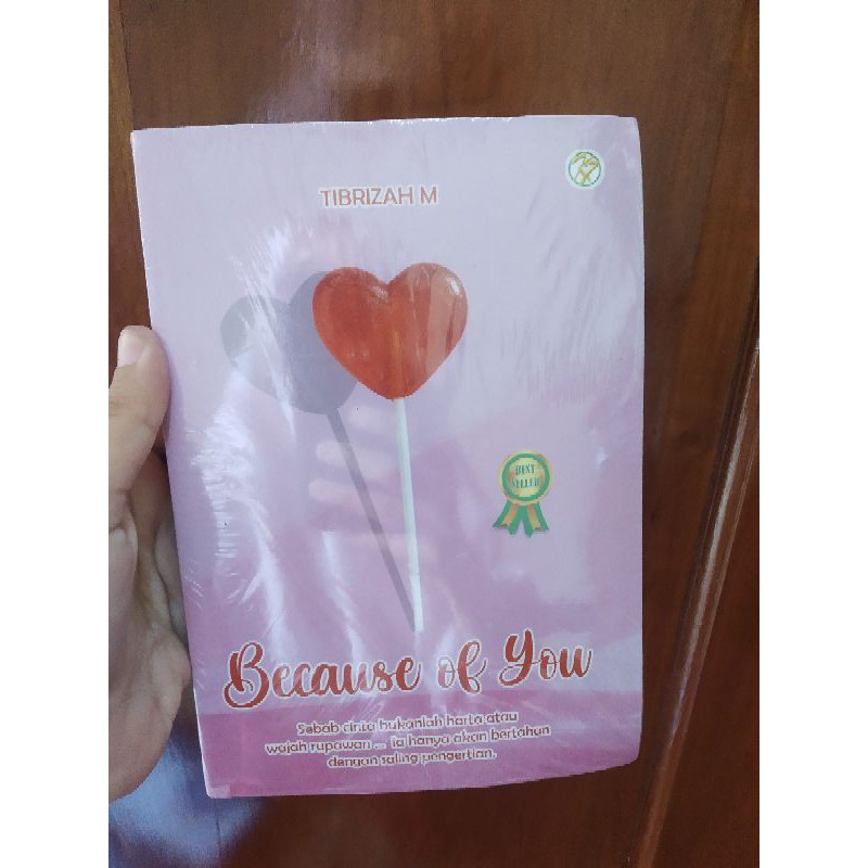 Novel Because of You Original
