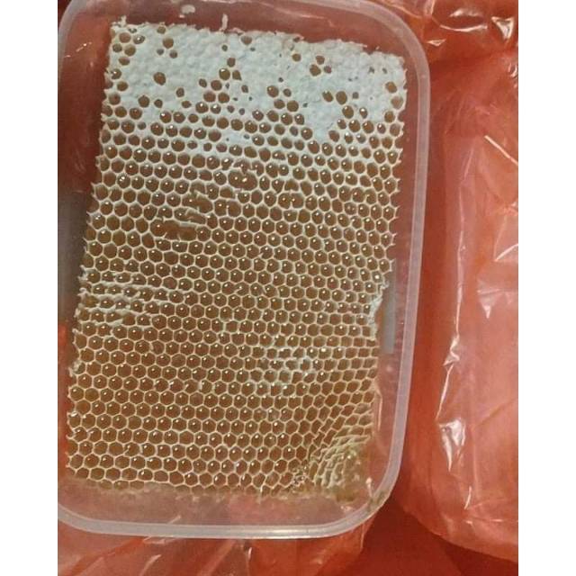 

Jual madu sarang malifera 500 gram