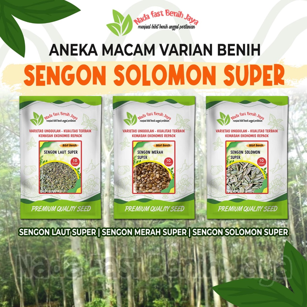 Jual Aneka Macam Varian Benih Sengon Solomon Super Asli Benih Sengon Laut Super Dan Bibit