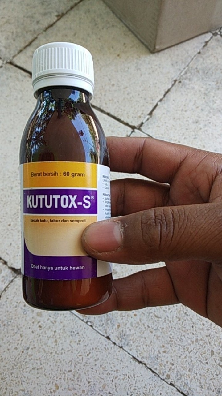 Kututok Obat Semut Dan Kutu