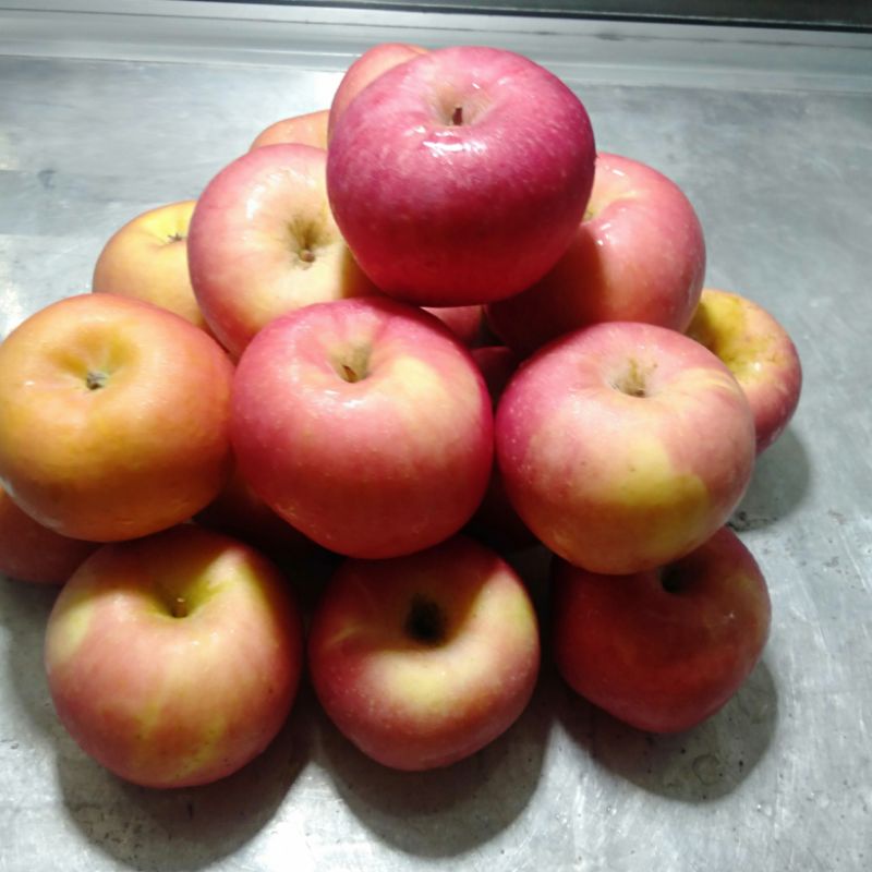 

Apel Fuji Premium