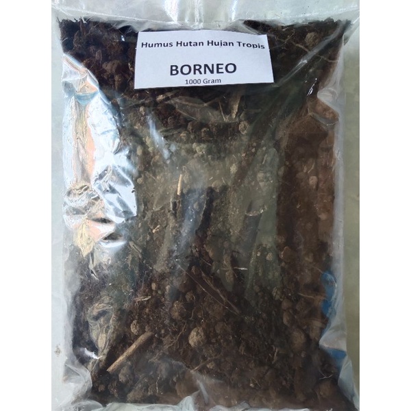 Humus Hutan Hujan Tropis Borneo Kemasan 1000 Gram