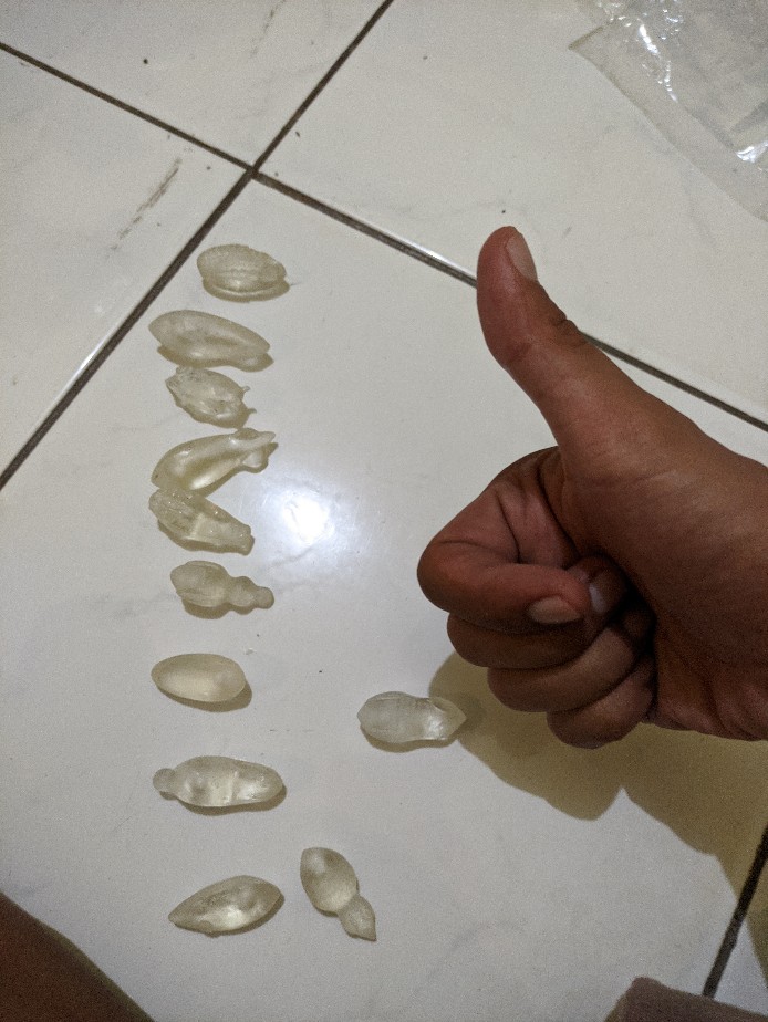 Molding/ Cetakan Soft Frog Doble Blade Ukuran 3.5cm Hook No 1