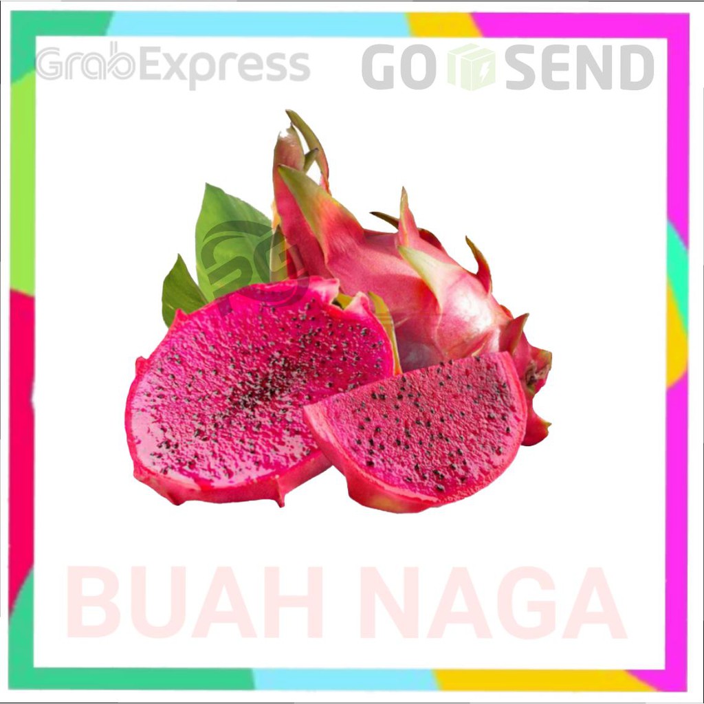 

Buah naga merah manis premium