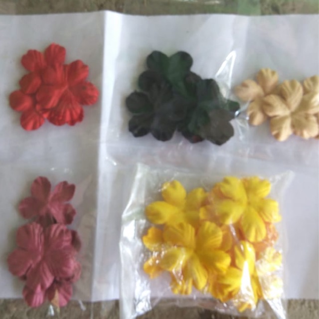 

Kelopak Sakura Kecil