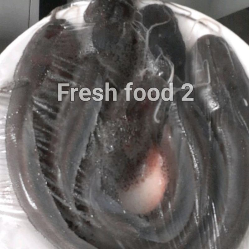 

Ikan Lele Hidup Segar dan Fresh 1Kg