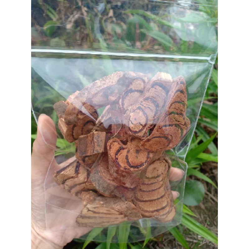 

BAJAKAH JIXUETENG