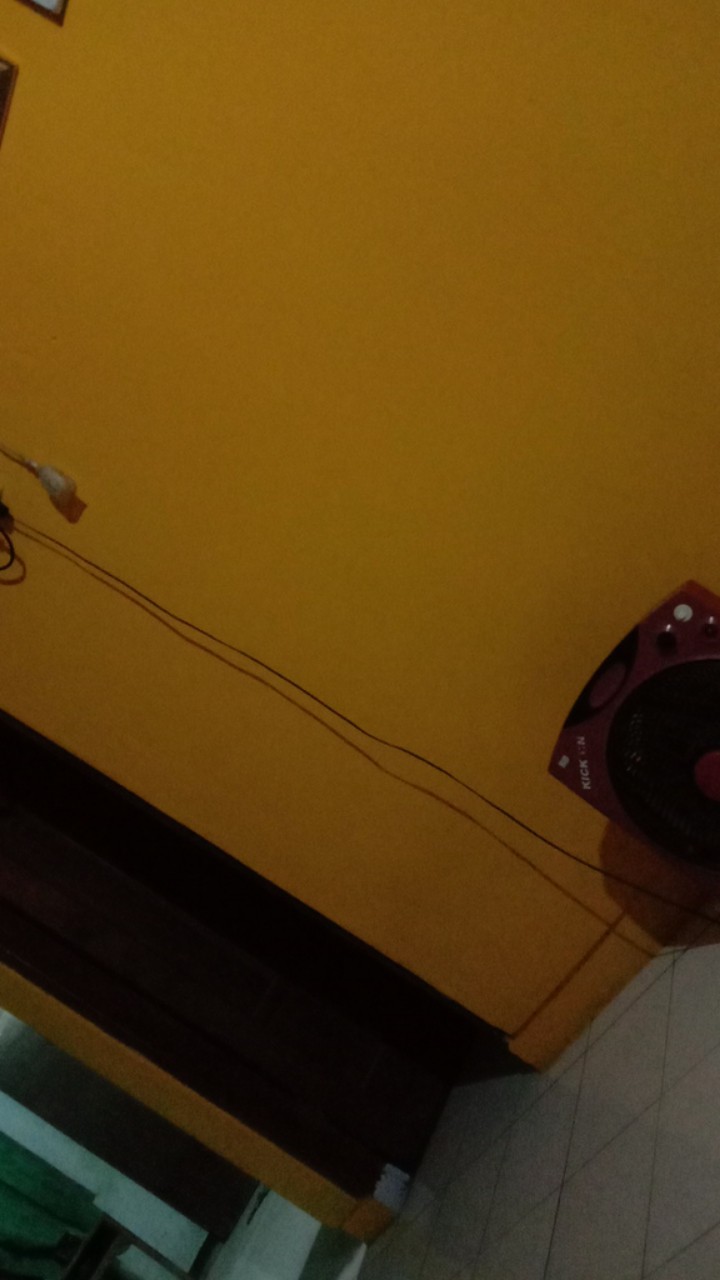 Essen Stella Aroma Kemangi