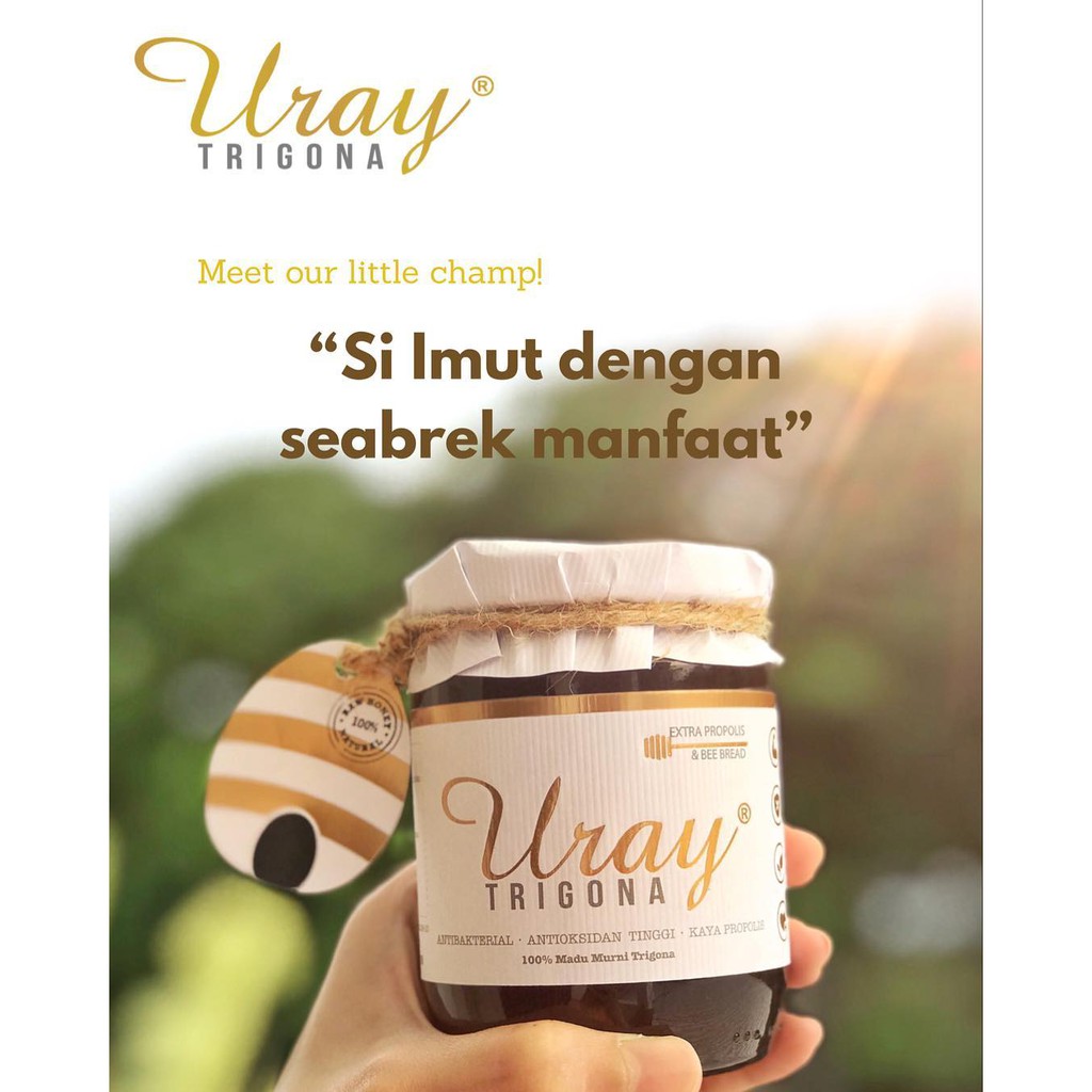 

Uray Trigona Raw Honey 250ml, Madu Klanceng Asli Mentah Murni Dengan Propolis & Bee Bread/Bee Pollen