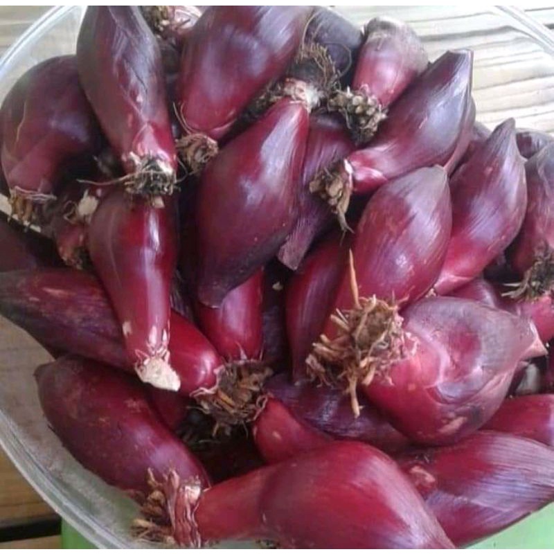 Bawang Dayak Basah 500gram