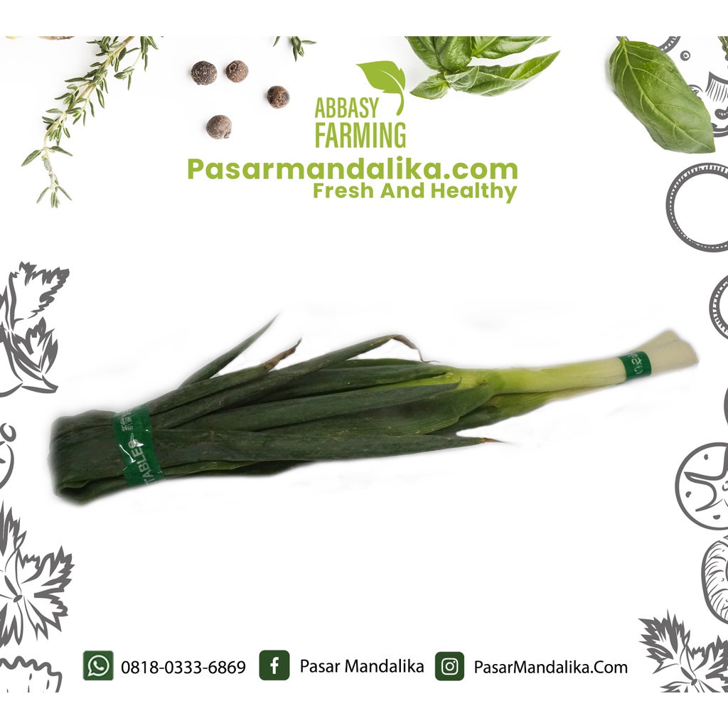 

Daun Bawang / Bawang Prei / Leek Pasar Mandalika