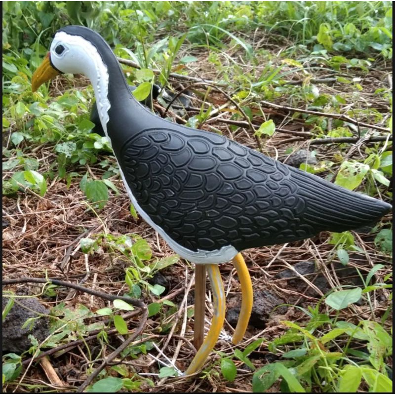 JONTROT PEMIKAT BURUNG KAREO ANTI AIR