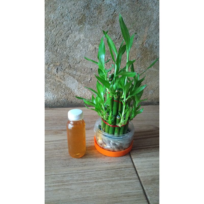 

madu murni kemasan ekonomis 100ml