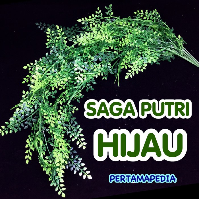 BURUAN BELI BUNGA PLASTIK/DAUN RAMBAT/RUMPUT PLASTIK/BUSA GABUS/FLORAL FOAM SAGA BERKUALITAS
