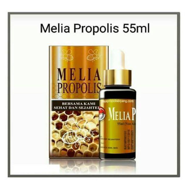 Harga propolis di apotik k24