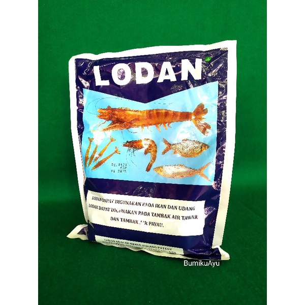 Lodan vitamin ikan udang