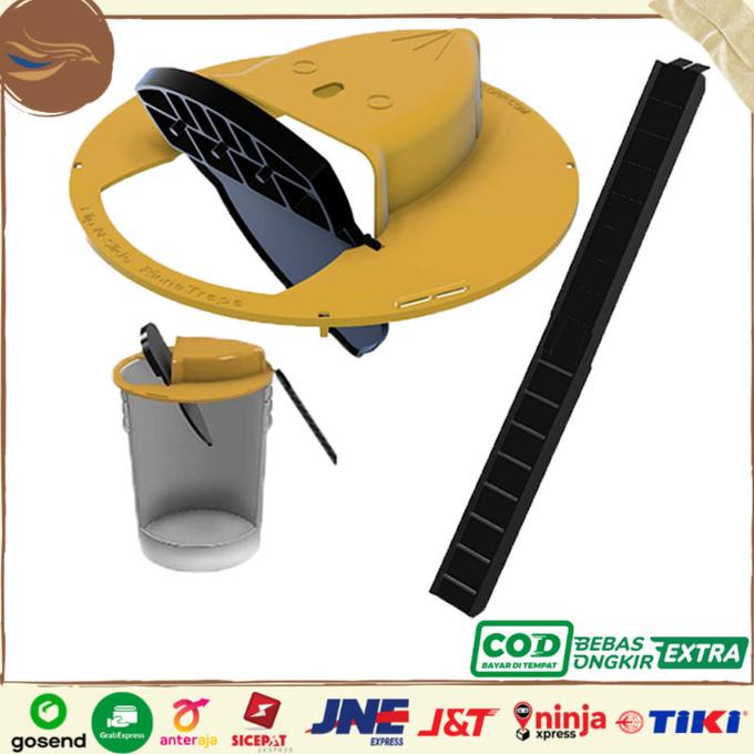 Perangkap Tikus Ampun. Jebakan Tikus Ember