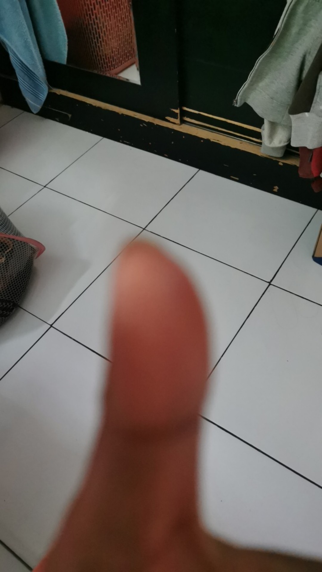 Pengangkat Dudukan Kloset  Motif Animal / Toilet Lid Handle / Pegangan Dudukan Kloset