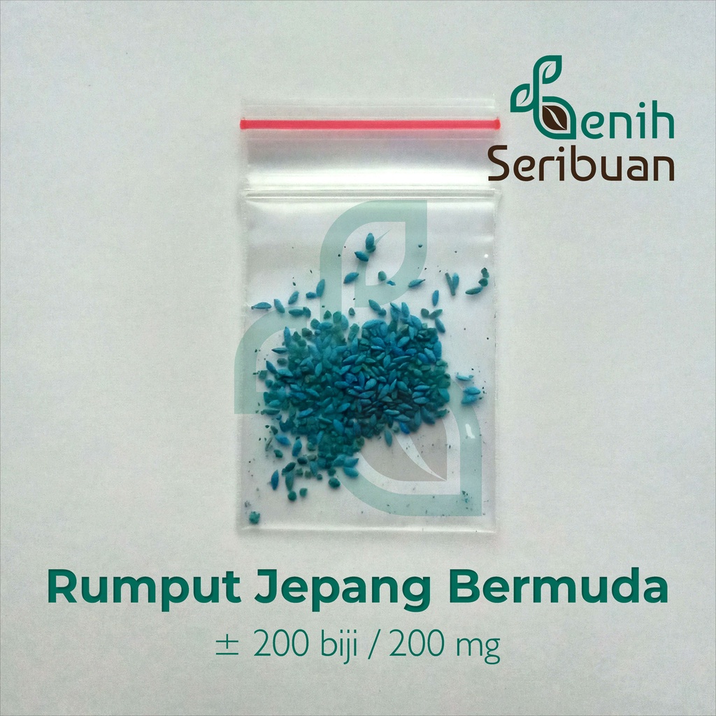 200 Benih Bibit Rumput Jepang Bermuda Grass Seed Standar Golf Import F1 Scotts Turf Builder Bibit Tanaman Hias Bunga Unggul Berkualitas Super