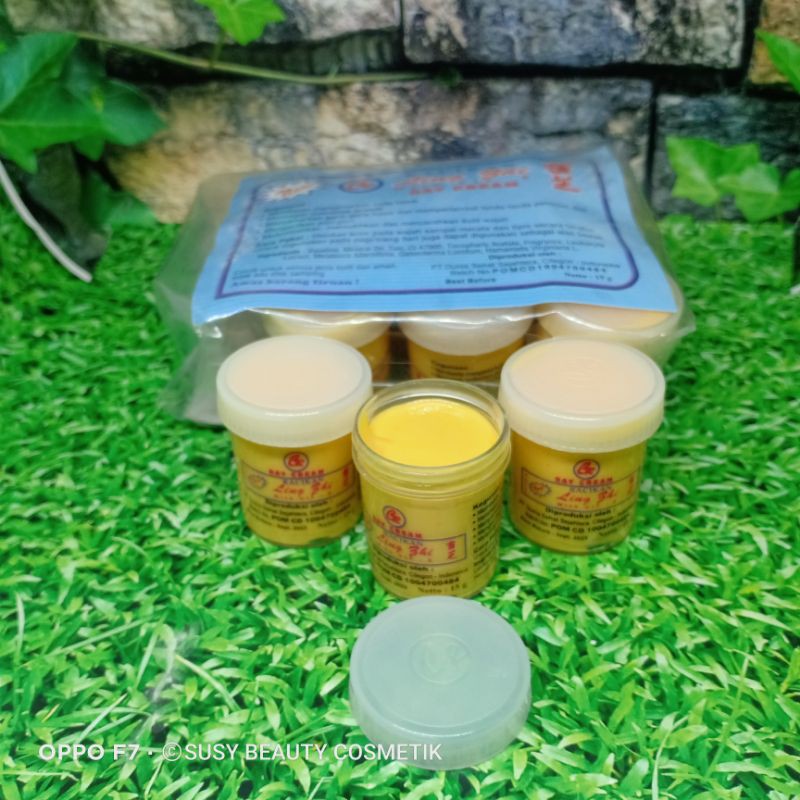 (12 PCS) CREAM LING SHI SIANG