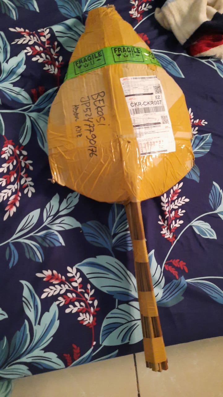 Daun Palem Gold L.25 Cm/dried Palm Leaves / Cuting Bagus