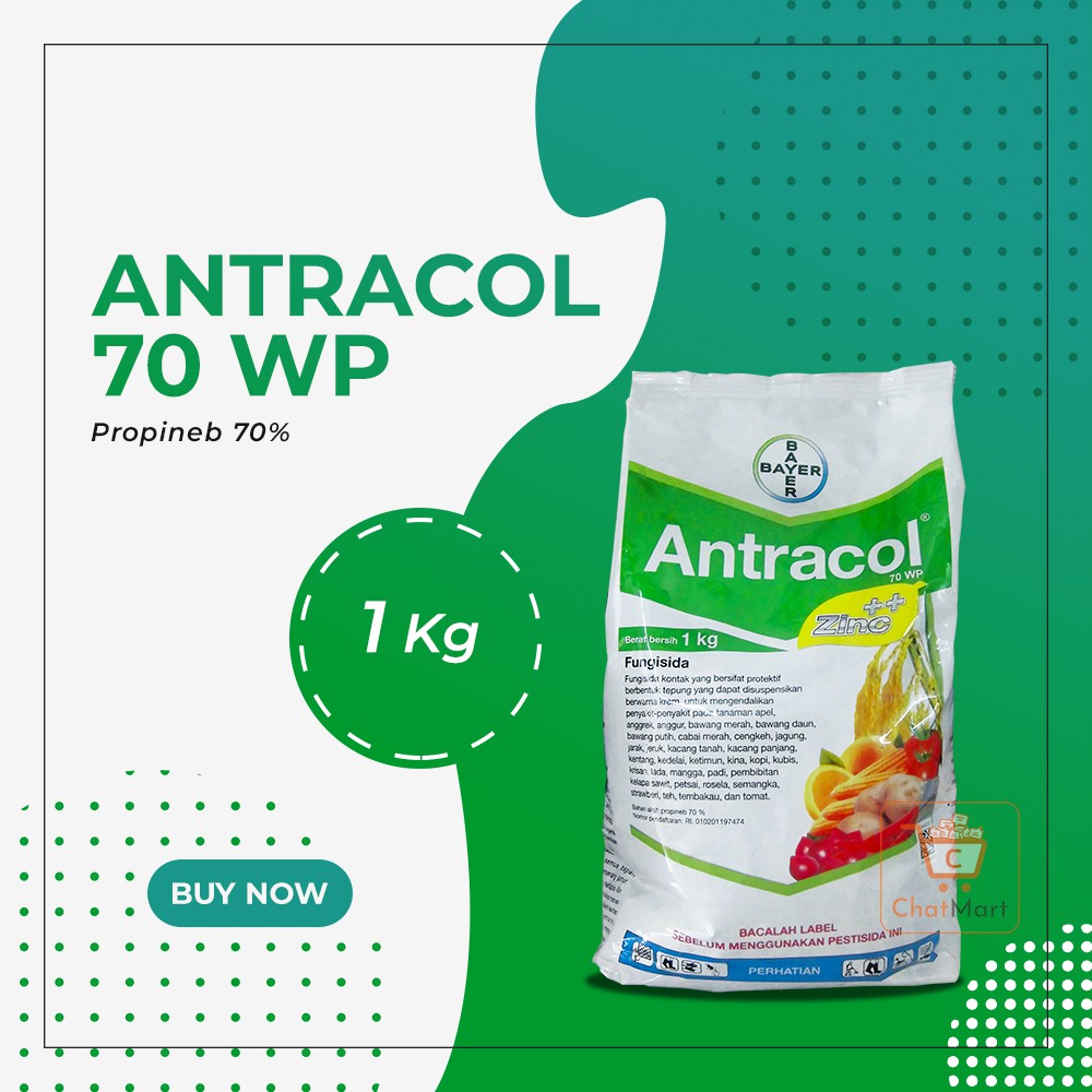 Antracol 70 WP 1 Kg