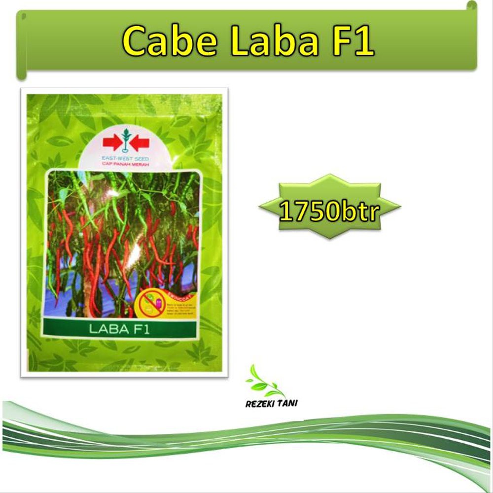 Benih bibit cabe keriting Laba F1 1750 butir Panah Merah