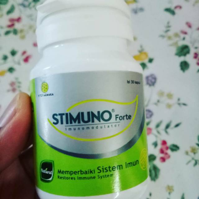 STIMUNO FORTE Bahan Herbal karya anak bangsa untuk menjaga daya taham tubuh agar tidak gampang sakit