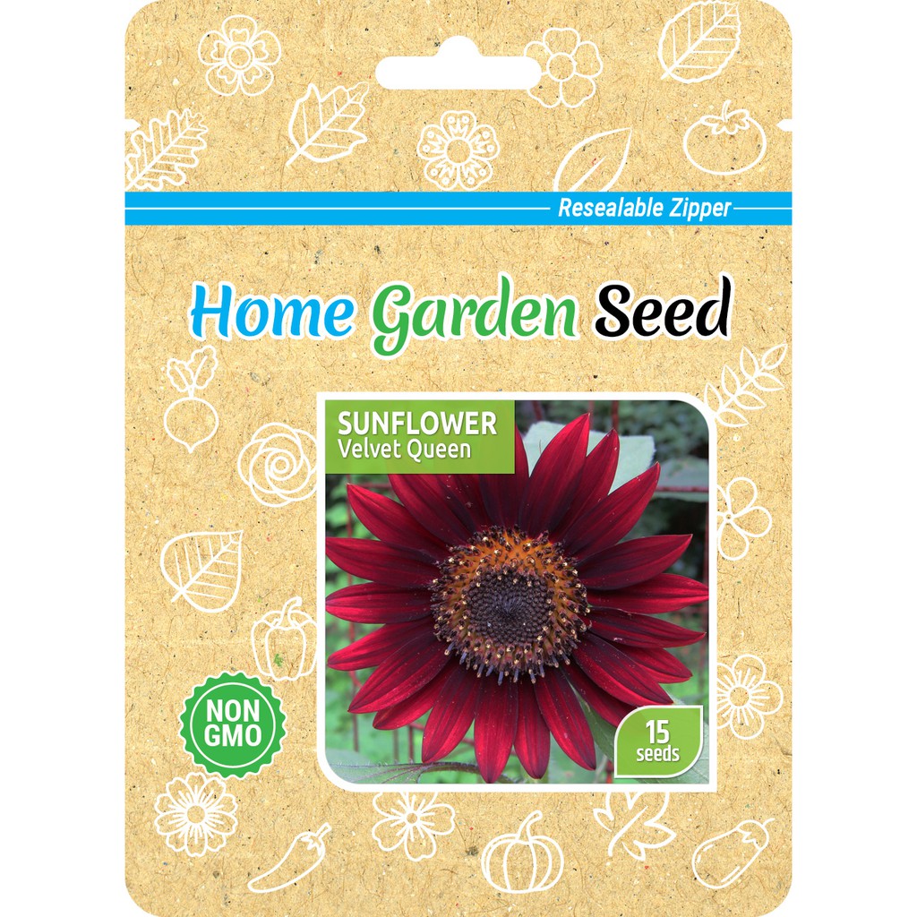 Sunflower Velvet Queen (Benih Bunga Matahari) -  Home Garden Seed