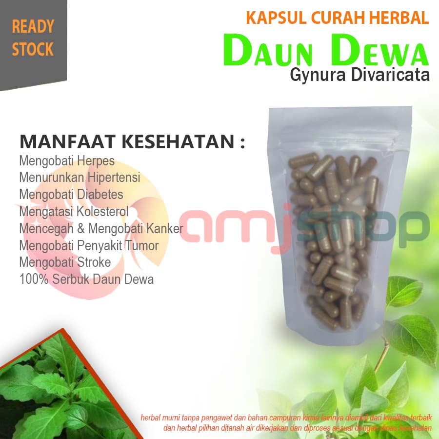 

KAPSUL CURAH HERBAL DAUN DEWA Herpes Hati Sinusitis Wasir Kutil Diabetes