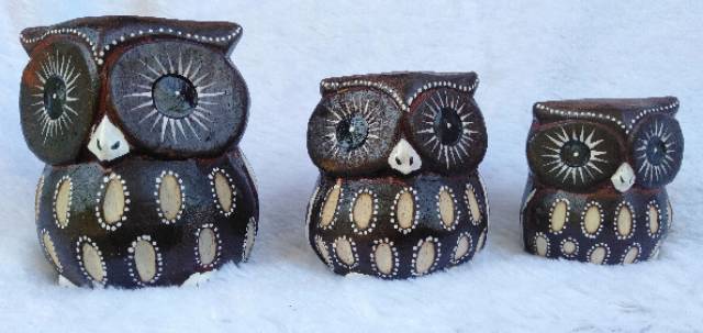 860+ Gambar Kolase Owl HD