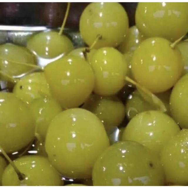 

ANGGUR BOGOR (250gram)