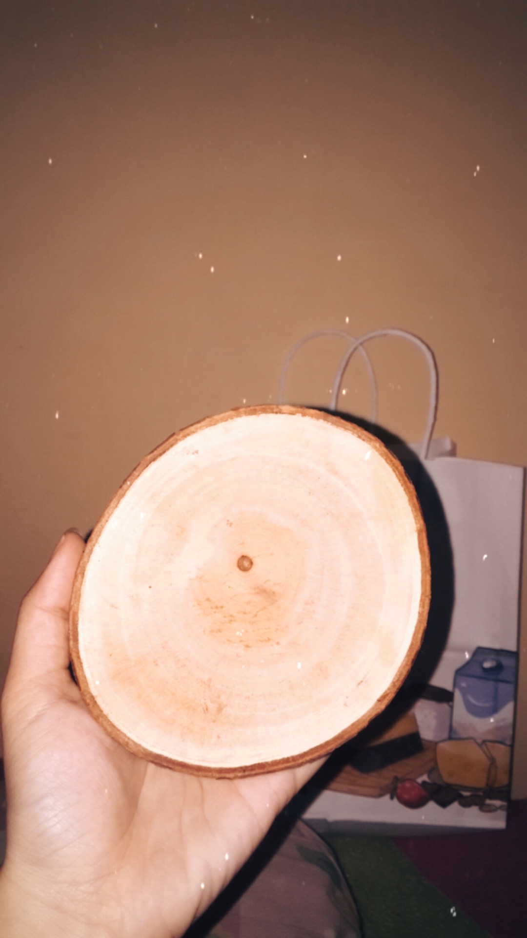 Wood Slice Atau Potongan Kayu Kerjinna Diy