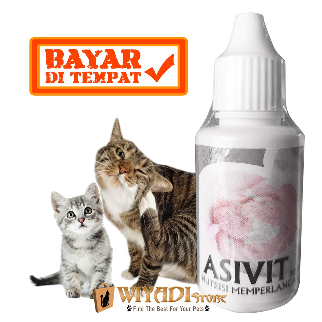 Asivit Cat - Nutrisi Memperlancar Asi Kucing Perbanyak Susu Kucing Terdaftar DEFTAN