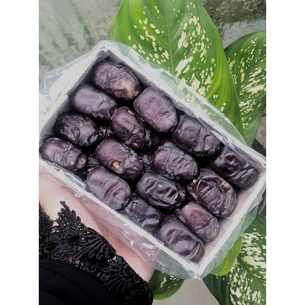 

Kurma Anggur | Kurma Madu | Kurma BAM Mazafati ELMAS