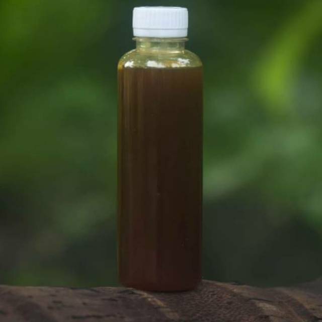 

Madu Klanceng (Trigona) Murni 100%