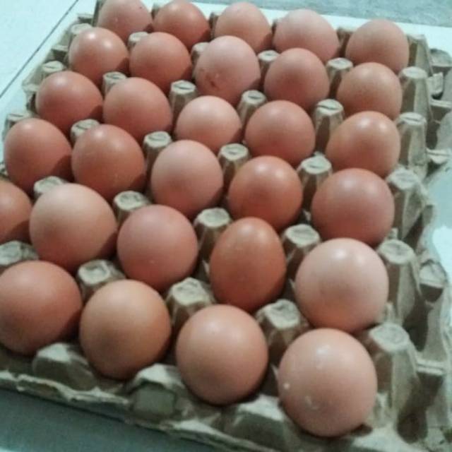 

Telur Negri Lokal Fresh GRADE A 1 tray isi 30 butir