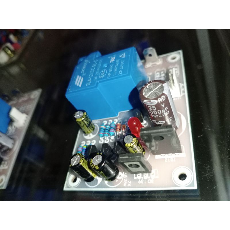 speaker protektor mono