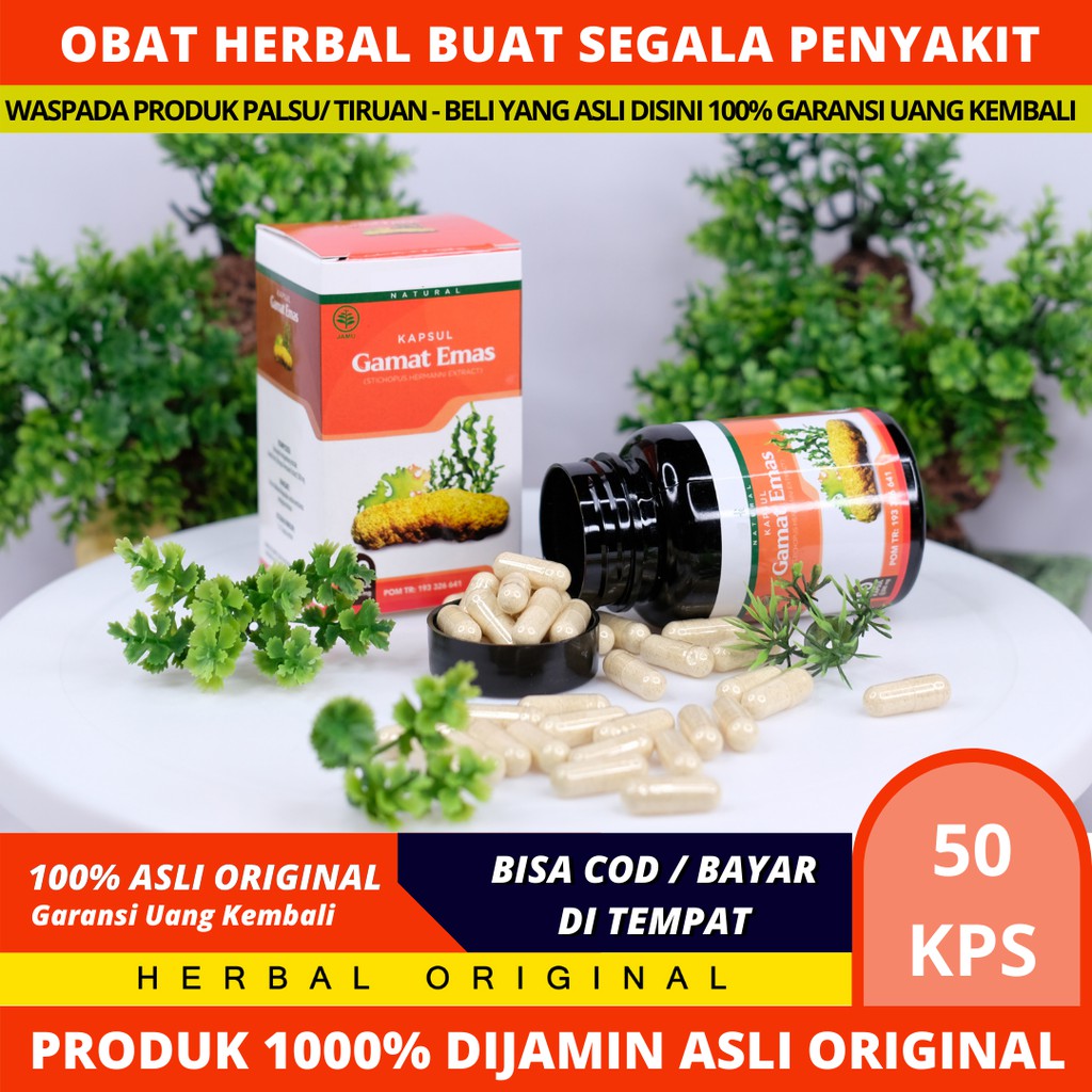 Gamat Emas Kapsul/Kapsul Gamat Emas Acep Herbal Obat Segala Penyakit 50 Kapsul 100% Asli Original