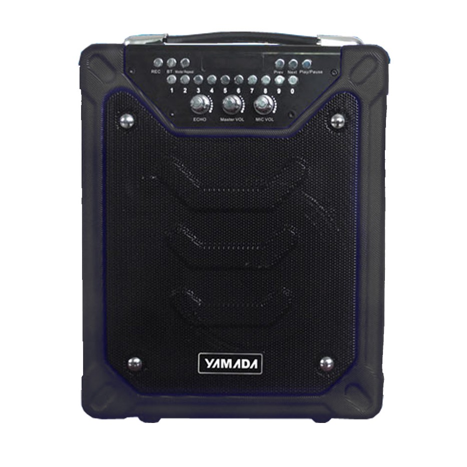 YAMADA DM-S11 Active Speaker Wireless Microphone MP3 WMA USB TF card Bluetooth FM Radio AUX Not JBL