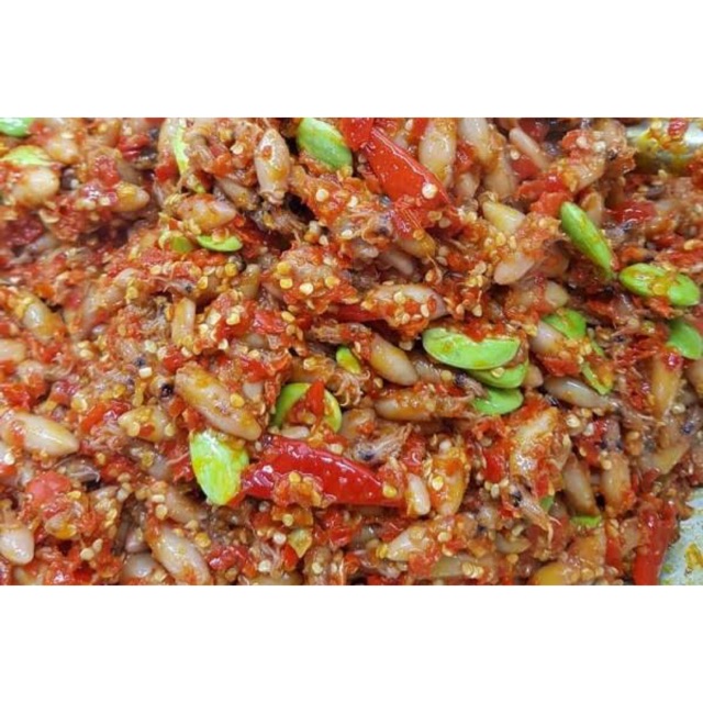 

(BELI 3 GRATIS 1) Sambal Baby Cumi - Dapur Istana - Sambal Baby Cumi Pete - Sambal Pete