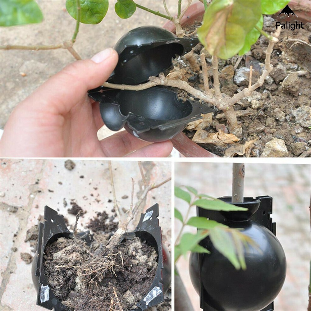 Alat Bantu Cangkok Stek Tanaman Model Bola Tekanan Tinggi Untuk Taman Berkebun FEFARM