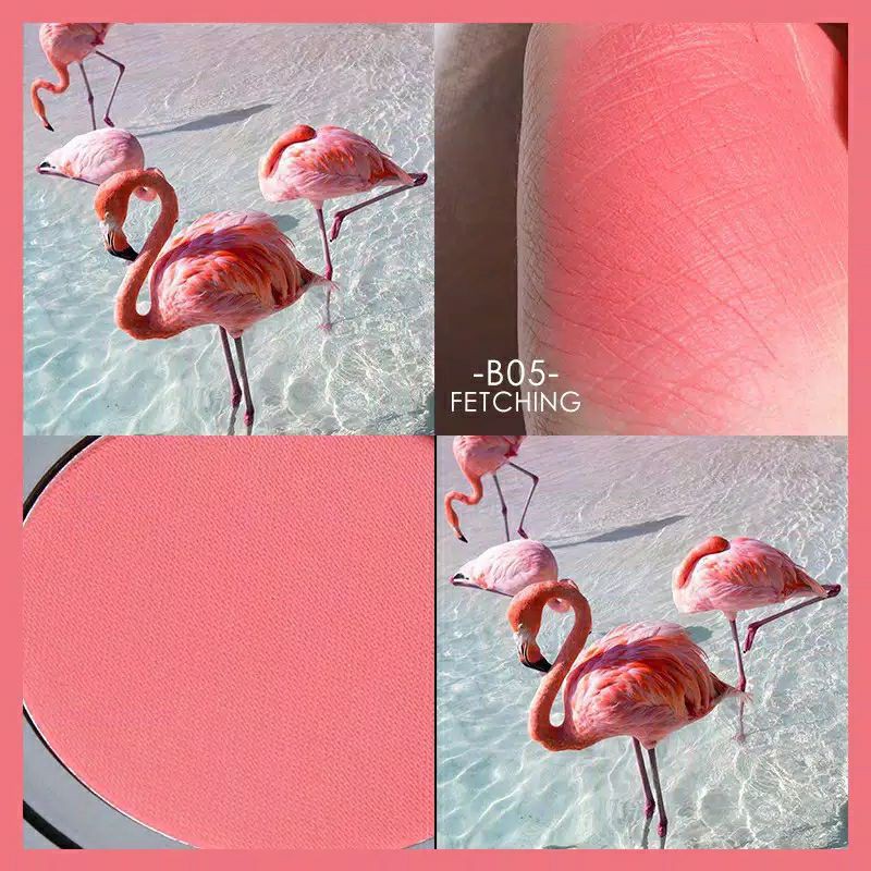 focallure blush