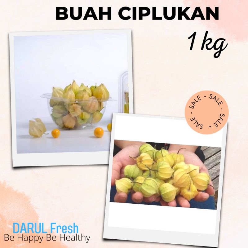 

Buah Ciplukan atau Golden berry 1 kg