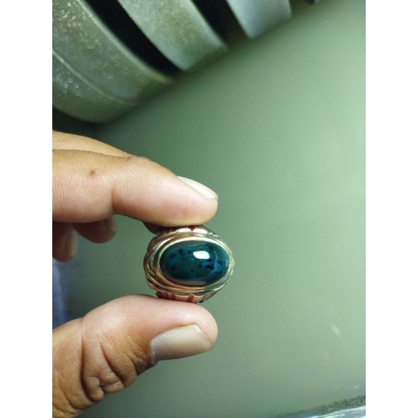 BACAN COKLAT BACOK TANAH HITAM