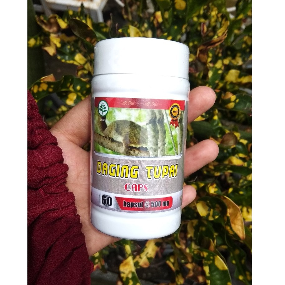 Kapsul Daging Tupai (Diabetes)
